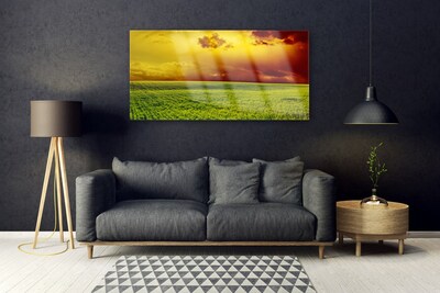 Tableaux sur verre Champ paysage vert