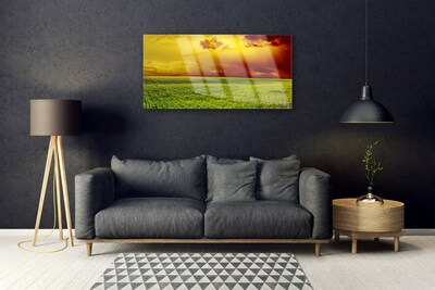 Tableaux sur verre Champ paysage vert