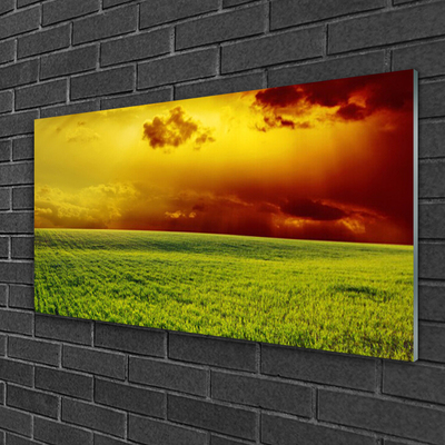 Tableaux sur verre Champ paysage vert