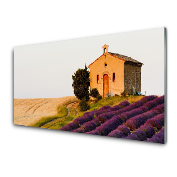 Tableaux sur verre Terrain paysage brun vert rose