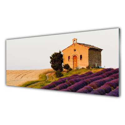 Tableaux sur verre Terrain paysage brun vert rose