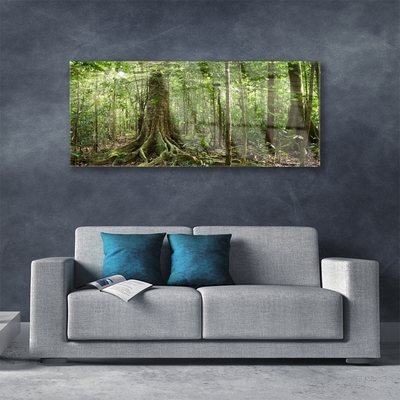 Tableaux sur verre Forêt nature brun vert