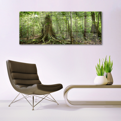 Tableaux sur verre Forêt nature brun vert