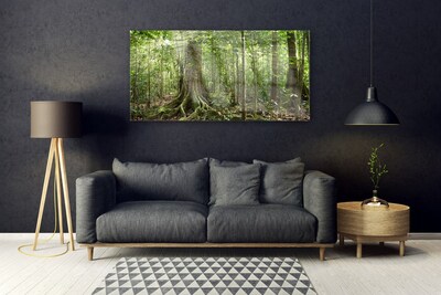 Tableaux sur verre Forêt nature brun vert