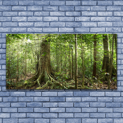 Tableaux sur verre Forêt nature brun vert