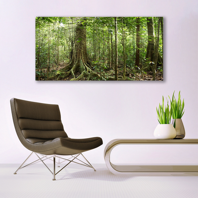 Tableaux sur verre Forêt nature brun vert