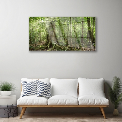 Tableaux sur verre Forêt nature brun vert