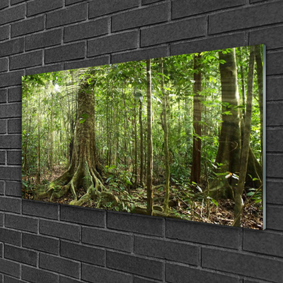 Tableaux sur verre Forêt nature brun vert