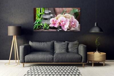 Tableaux sur verre Pierres bambou fleurs floral vert gris rose