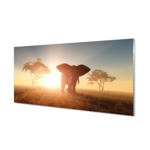 Crédences de cuisine en verre Est l'arbre elephant