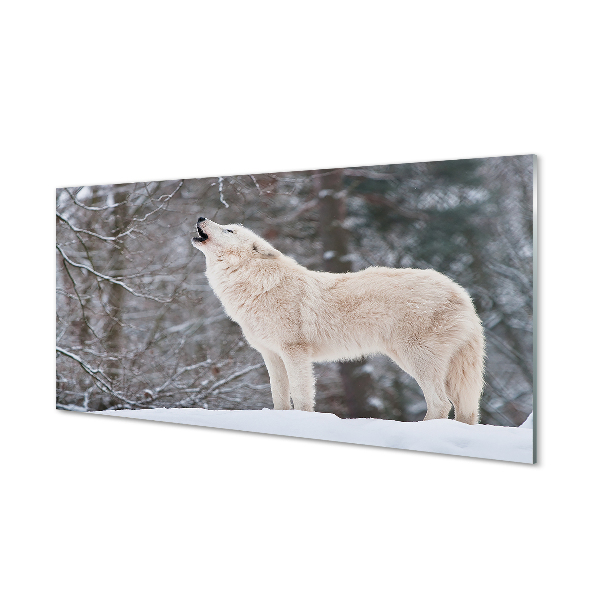 Crédences de cuisine en verre Loup forêt d'hiver