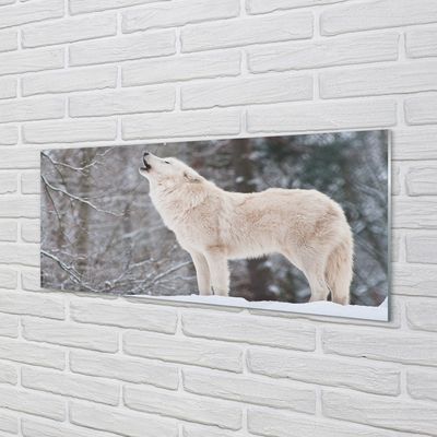 Crédences de cuisine en verre Loup forêt d'hiver