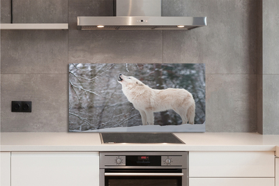 Crédences de cuisine en verre Loup forêt d'hiver