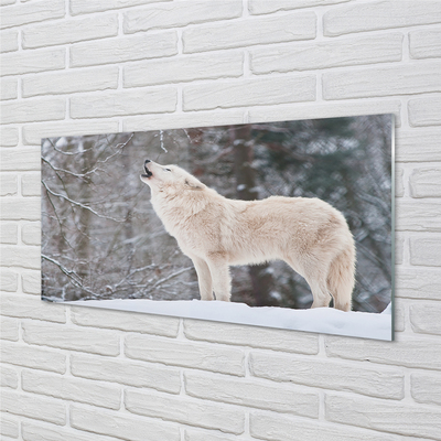 Crédences de cuisine en verre Loup forêt d'hiver