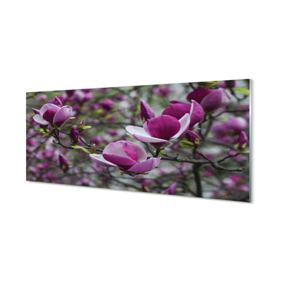 Crédences de cuisine en verre Magnolias violet