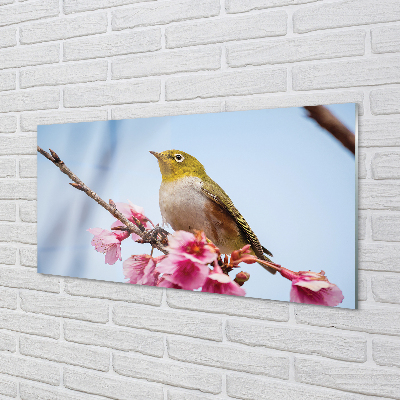 Crédences de cuisine en verre Oiseau sur une branche