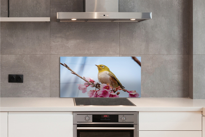 Crédences de cuisine en verre Oiseau sur une branche