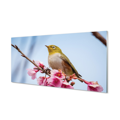 Crédences de cuisine en verre Oiseau sur une branche