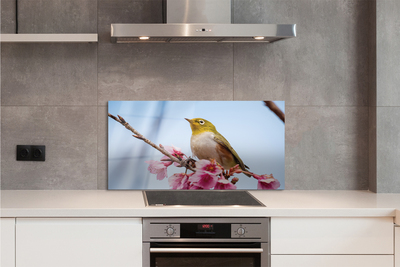 Crédences de cuisine en verre Oiseau sur une branche