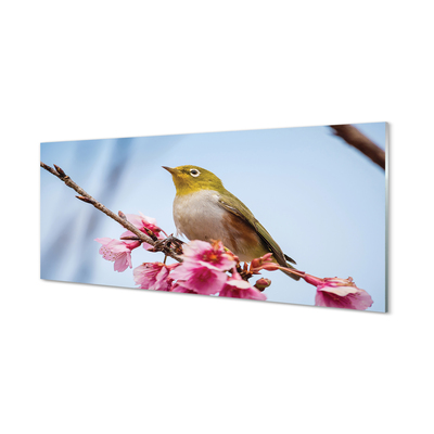 Crédences de cuisine en verre Oiseau sur une branche