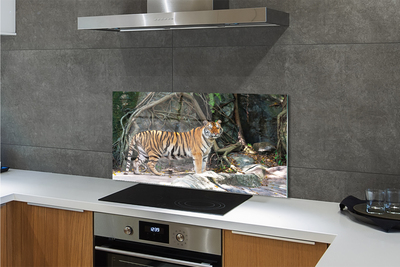 Crédences de cuisine en verre Jungle tigre