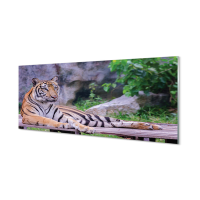 Crédences de cuisine en verre Tiger dans un zoo