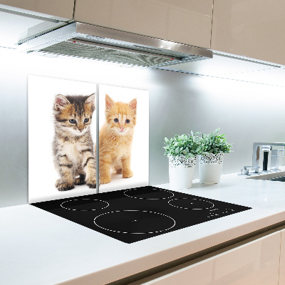 Protège Plaque en verre Animal chat