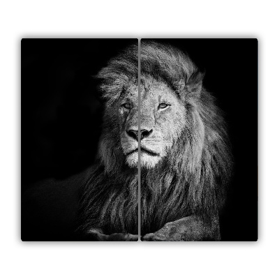 Protège Plaque en verre Lion