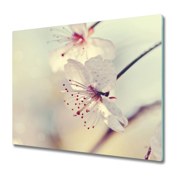 Protège Plaque en verre Fleur de cerisier