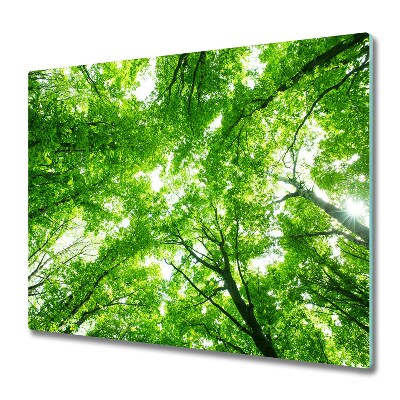 Protège Plaque en verre Forêt verte