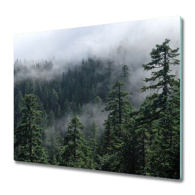 Protège Plaque en verre Forêt de brouillard