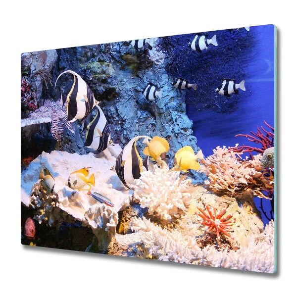Protège Plaque en verre Récif de corail
