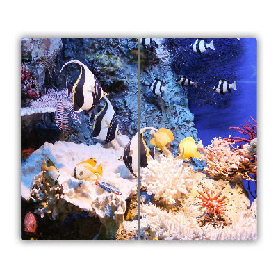 Protège Plaque en verre Récif de corail