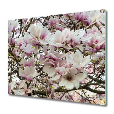 Protège Plaque en verre Fleurs magnolias