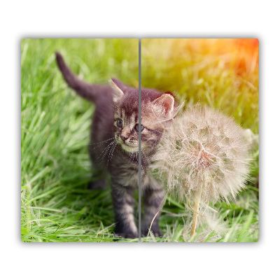 Protège Plaque en verre Pissenlit chaton