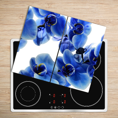 Protège Plaque en verre Orchidée bleue