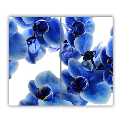 Protège Plaque en verre Orchidée bleue