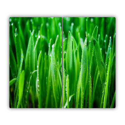 Protège Plaque en verre Herbe