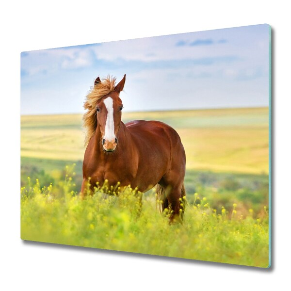 Protège Plaque en verre Cheval brun