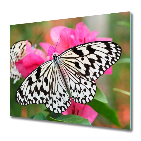 Protège Plaque en verre Fleur de papillon