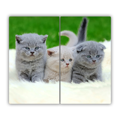 Protège Plaque en verre Couverture de trois chats