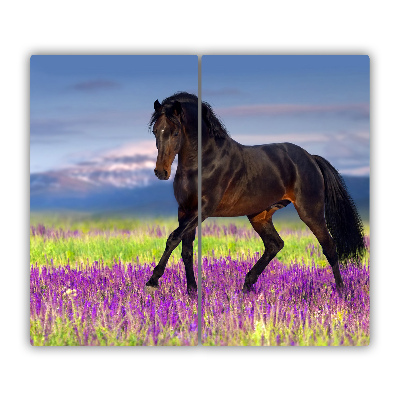 Protège Plaque en verre Champ de lavande de cheval