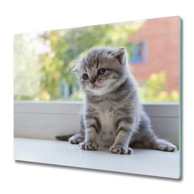 Protège Plaque en verre Petite fenêtre de chat