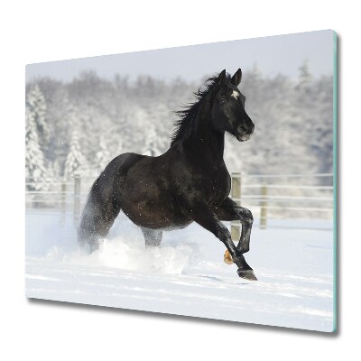 Protège Plaque en verre Neige de cheval