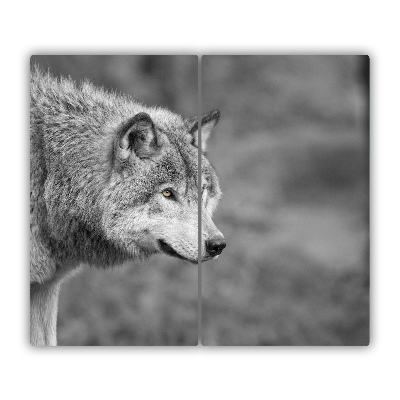 Protège Plaque en verre Loup gris