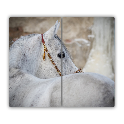 Protège Plaque en verre Cheval arabe