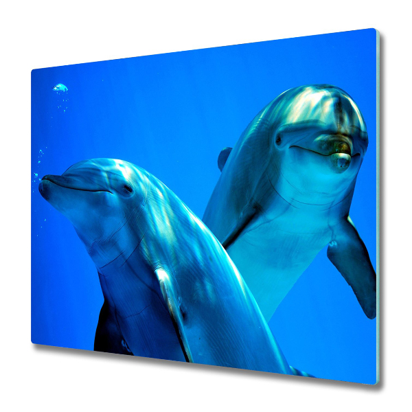 Protège Plaque en verre Deux dauphins