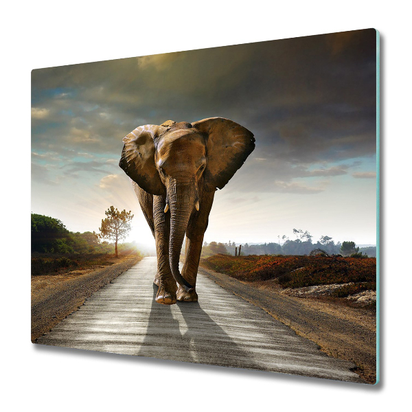 Protège Plaque en verre Éléphant