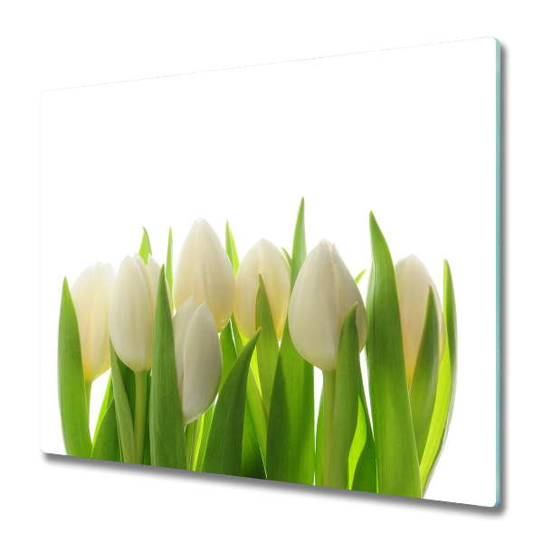 Protège Plaque en verre Tulipes