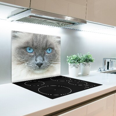 Protège Plaque en verre Yeux bleu chat